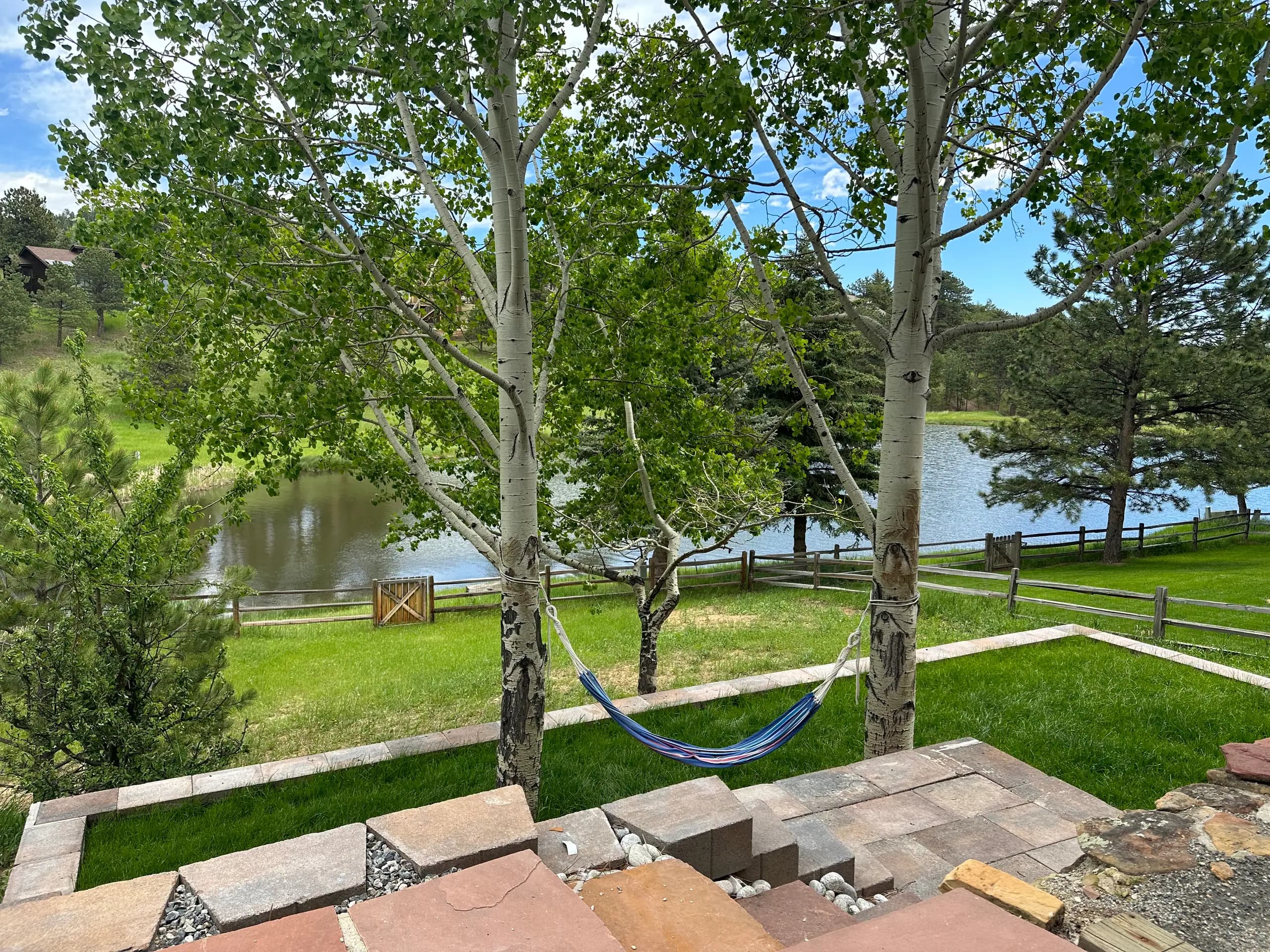 The hammock in the lake-facing yard, aspens above